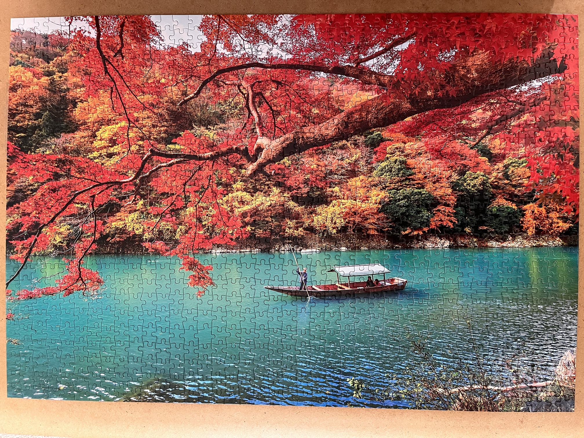 Autumn Leaves of Arashiyama Hozu Gorge